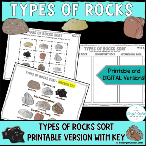 Types of Rocks Activities for Science - The Bright Cookie