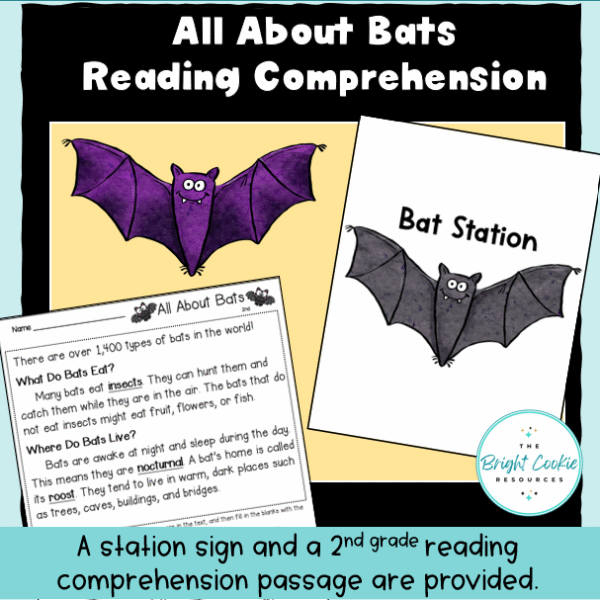 All About Bats Differentiated Reading Comprehension - The Bright Cookie