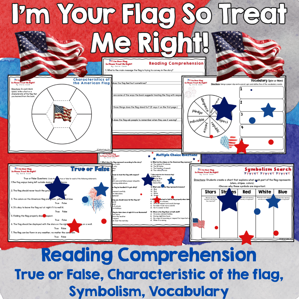 I'm Your Flag So Please Treat Me Right by Julia Cook - Image 3